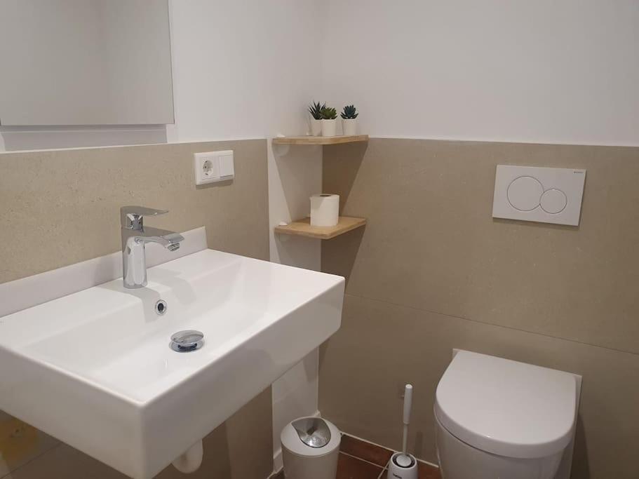Apartment-Top Lage Koeln ヒュルト エクステリア 写真